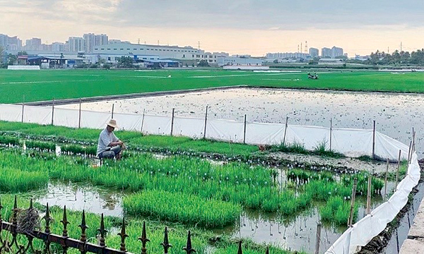 香港正版内部资料大公开